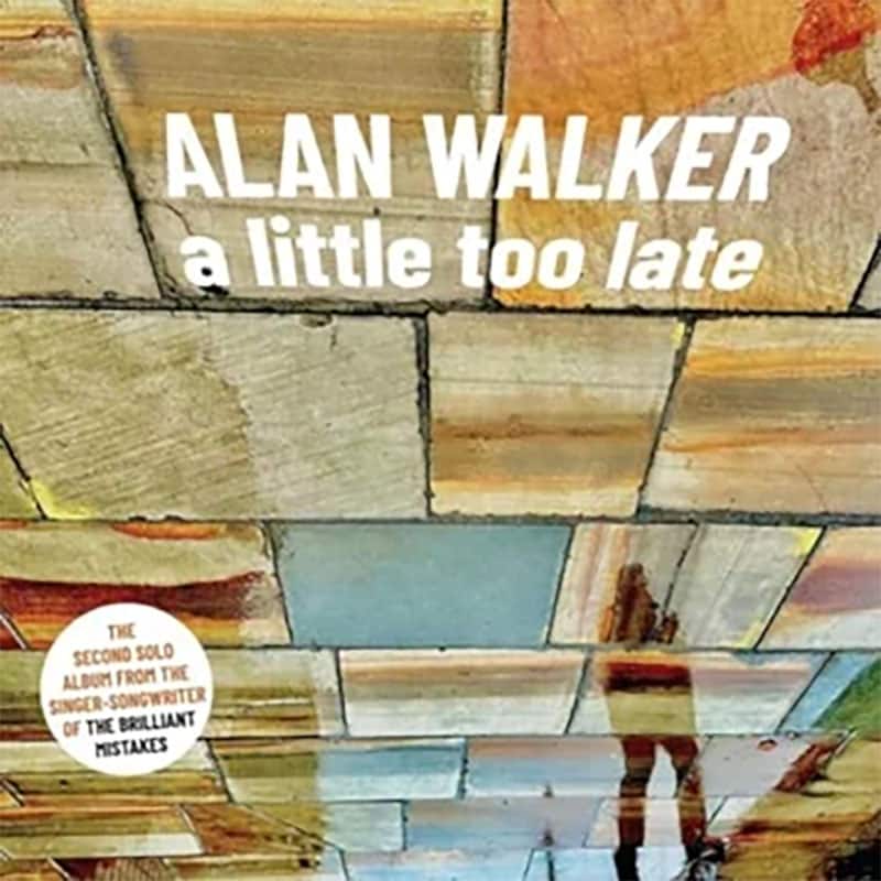Alan Walker  A Little Too Late