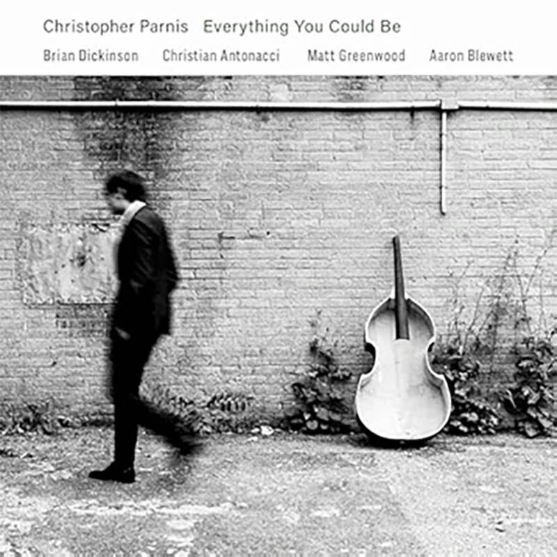 Christopher Parnis  EVERYTHING YOU COULD BE