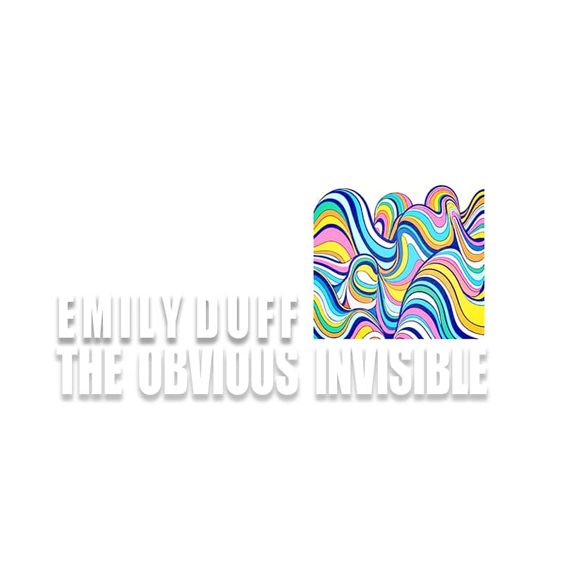 Emily Duff  The Obvious Invisible