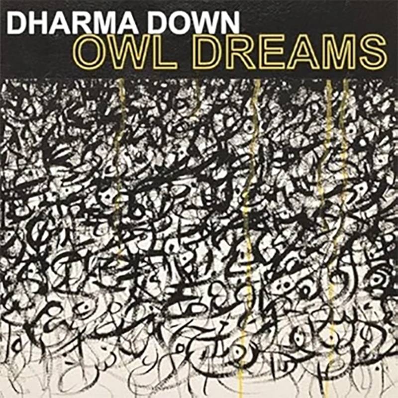 Dharma Down  OWL DREAMS