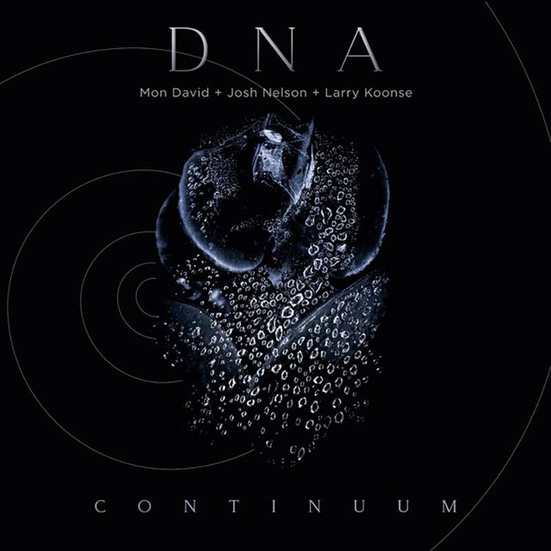 Mon David  DNA CONTINUUM