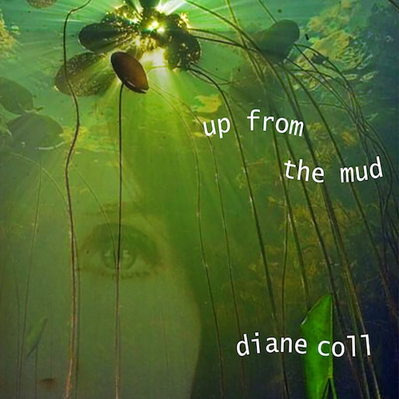 Diane Coll  Up from the Mud