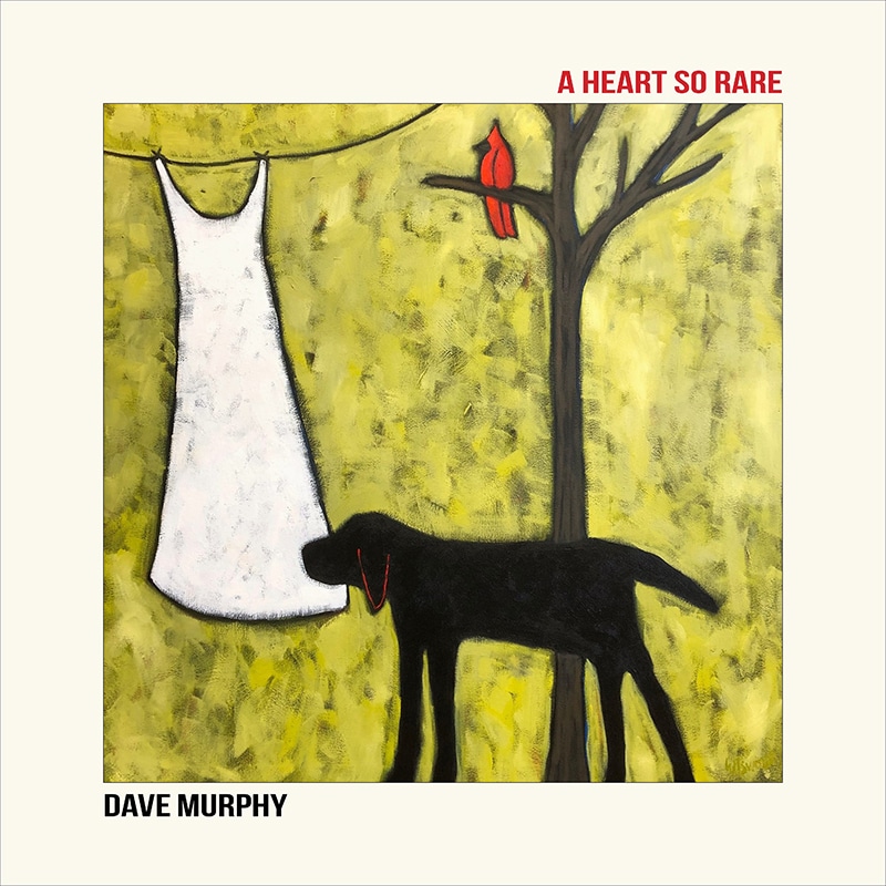 Dave Murphy  A Heart So Rare