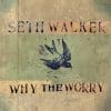 Seth Walker  Why the Worry