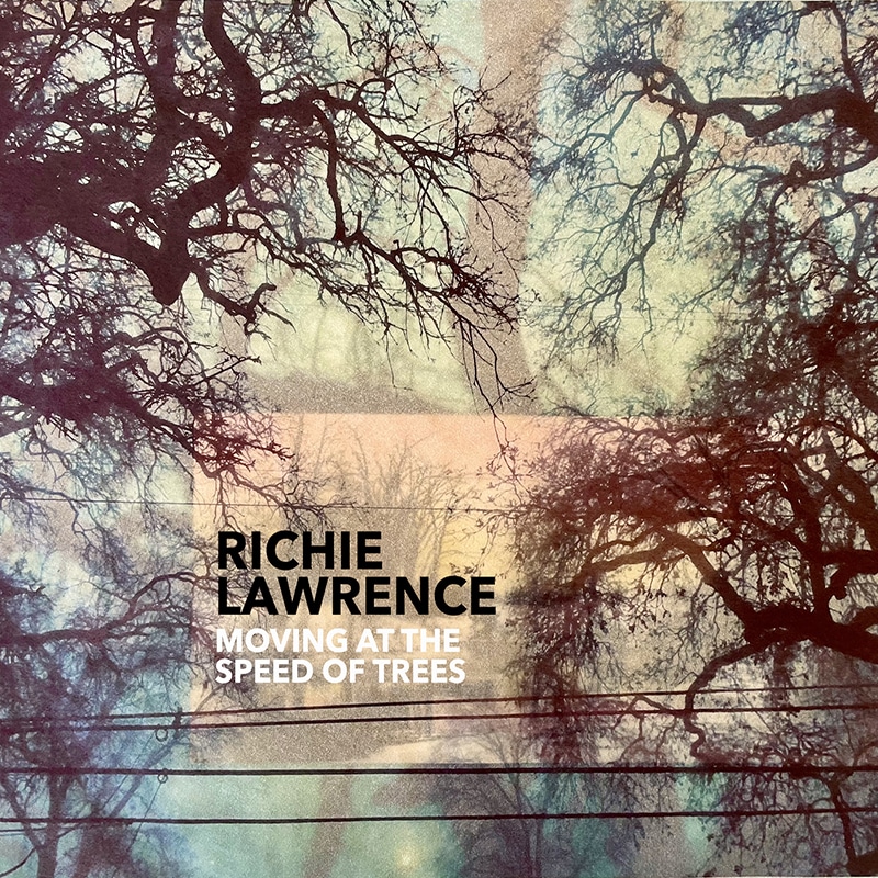 Richie Lawrence  Moving at the Speed of Trees